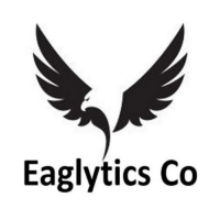 Eaglytics Co (2) - Copy.jpg